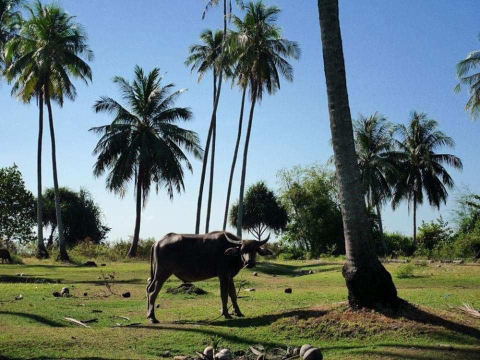 Dugong Koh Sukorn Otel Ko Sukon Dış mekan fotoğraf